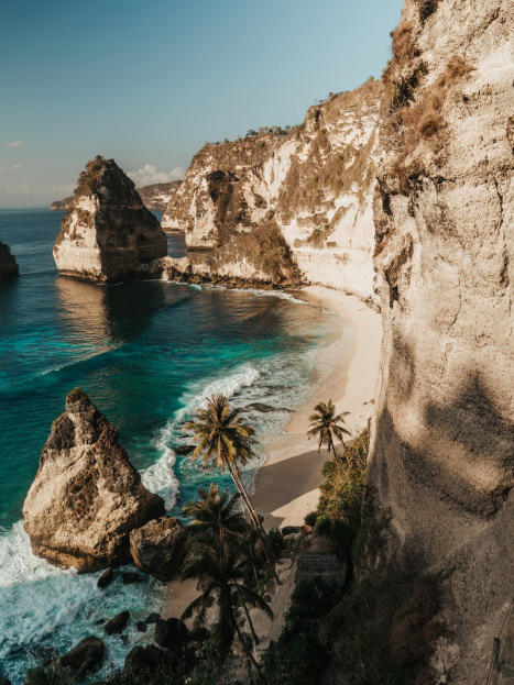 a sandy beach next to the ocean with palm trees